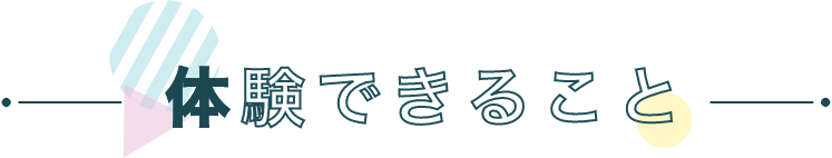体験できること